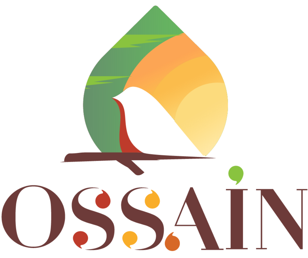 Ossain – Aromaterapia – Viviana Leon Perilla 